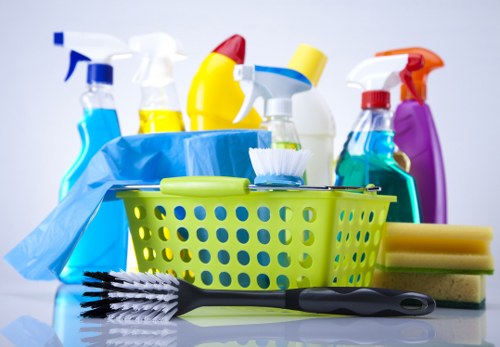 Carpet cleaning quote discussion in a home interior