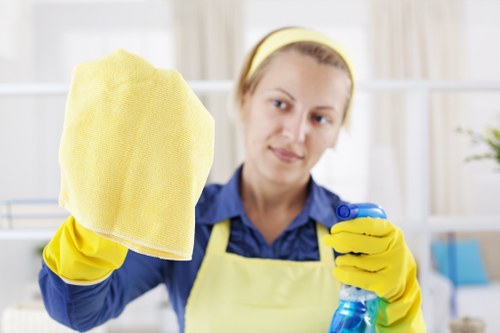 Accessible website experience for The Hale Carpet Cleaners