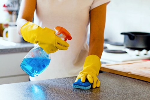 Professional mattress stain and dust removal in The Hale