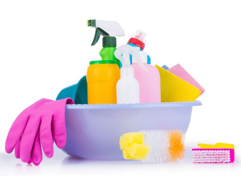 Safe and insured carpet cleaning service by The Hale Carpet Cleaners