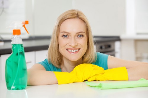Payment and invoice details for carpet cleaning work
