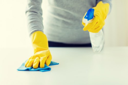 Screen-reader friendly structure for Hale Carpet Cleaners website