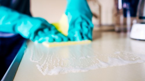 Transparent pricing details for carpet cleaners