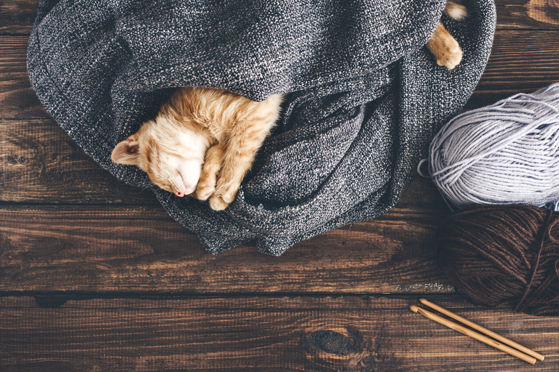 regular cleaning professional cleaners